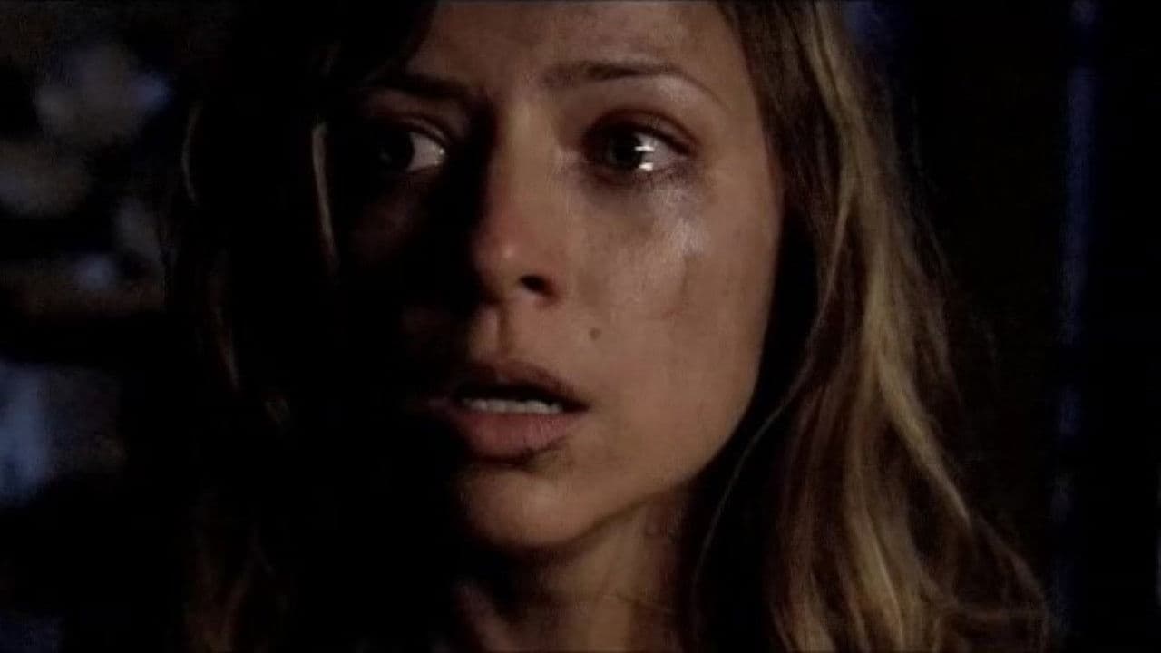 Backdrop – Red Canyon