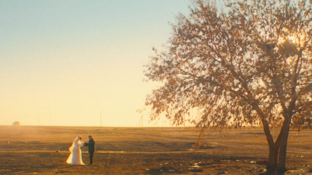 Backdrop – Однажды в Коргалжино