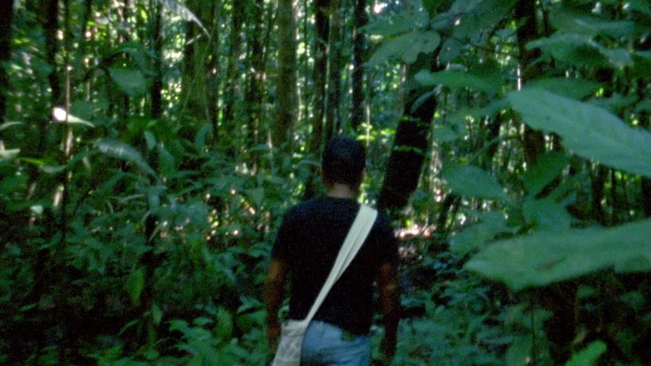 Backdrop – El Laberinto
