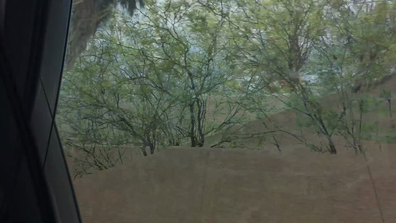 Backdrop – Aridity Enclosure 1