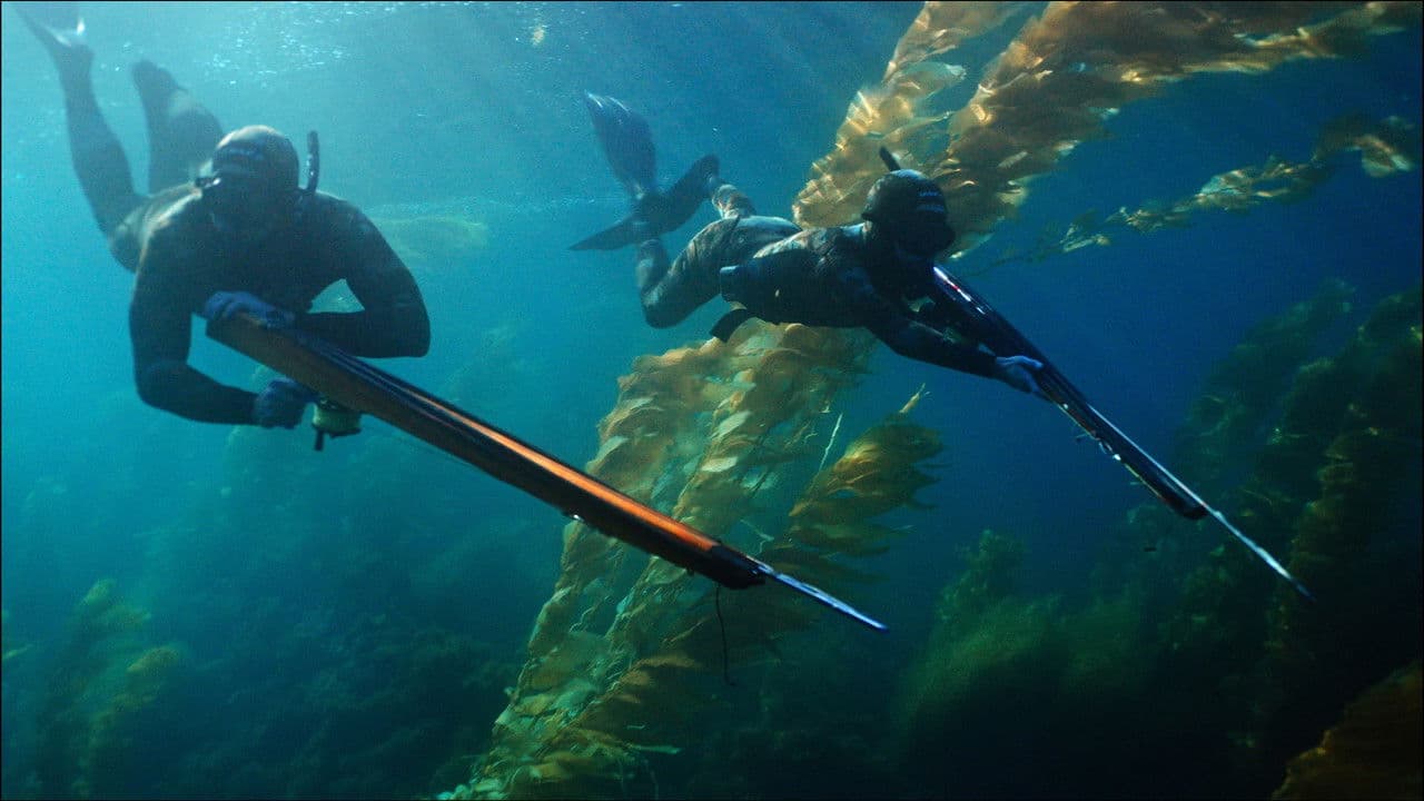 Backdrop – Whisper Breach