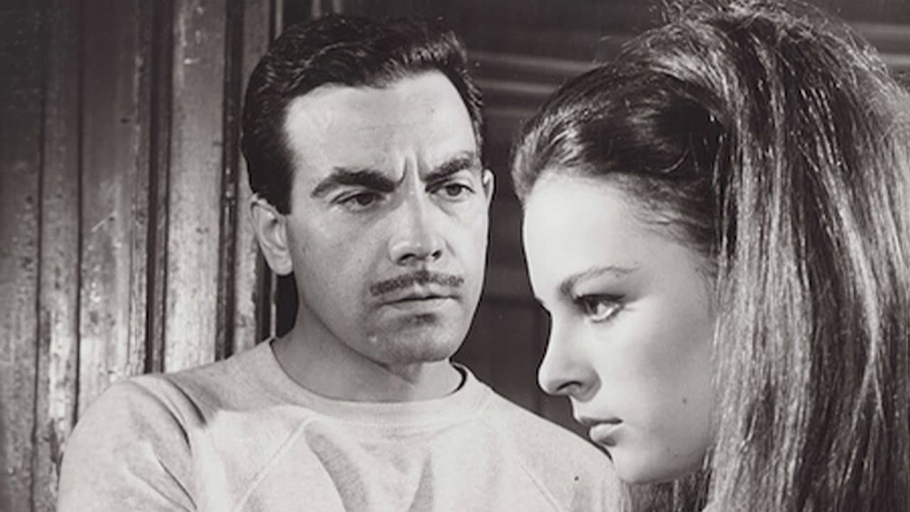 Backdrop – Kumarbazın İntikamı