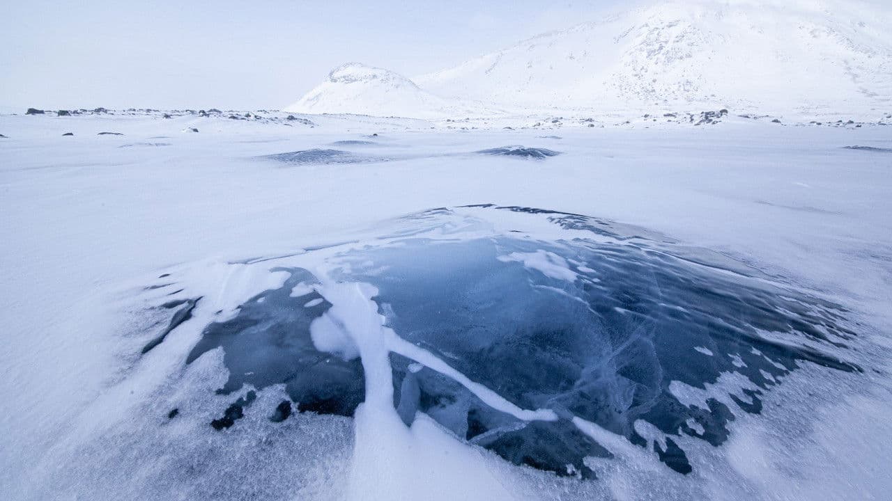 Backdrop – Isöken