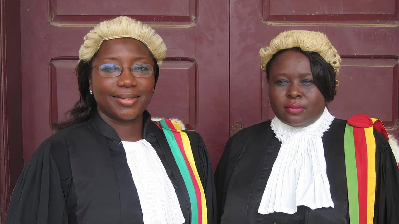 Backdrop – Sisters in Law