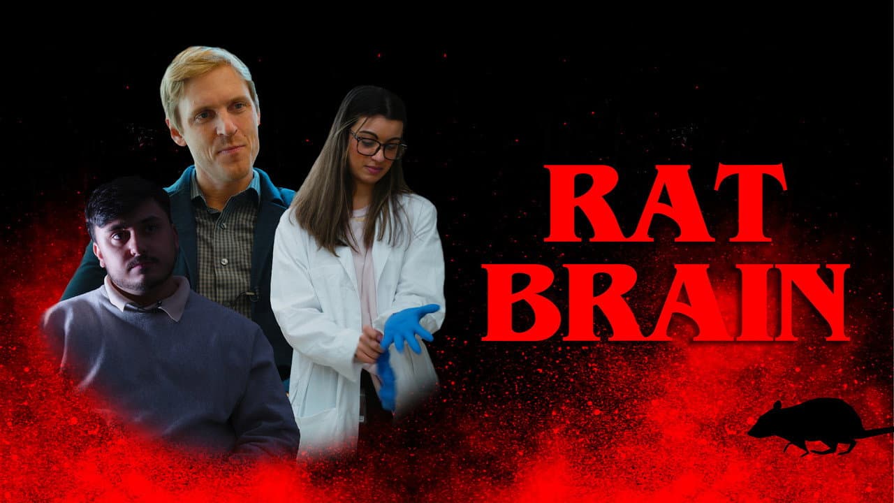 Backdrop – Rat Brain