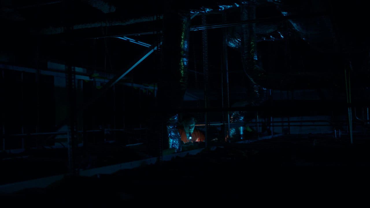 Backdrop – The Walls