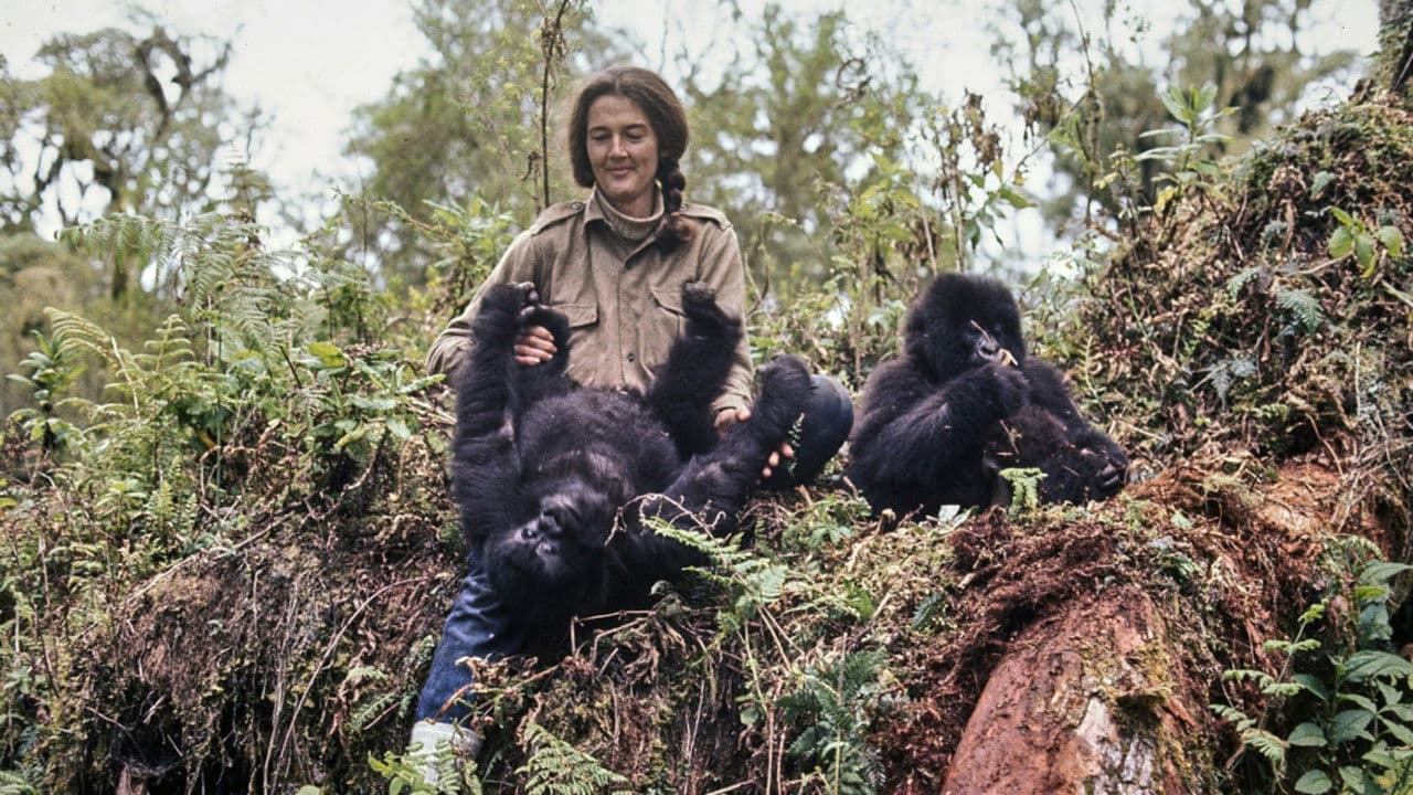 Backdrop – Dian Fossey: Ihr Leben für die Gorillas