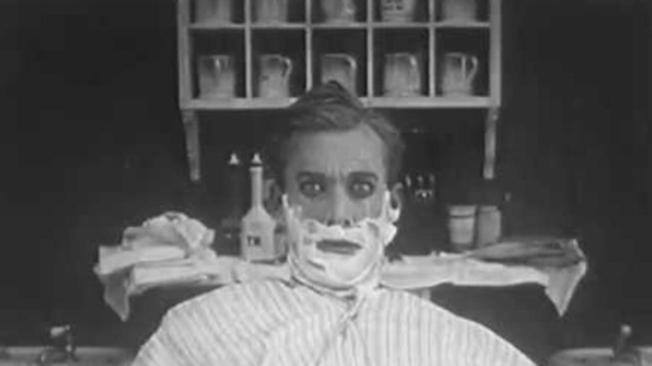 Backdrop – Stupid, but Brave