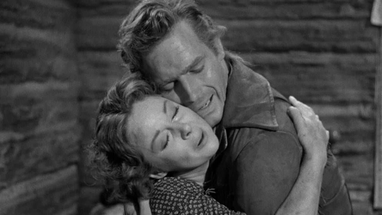 Backdrop – Gefährtin seines Lebens