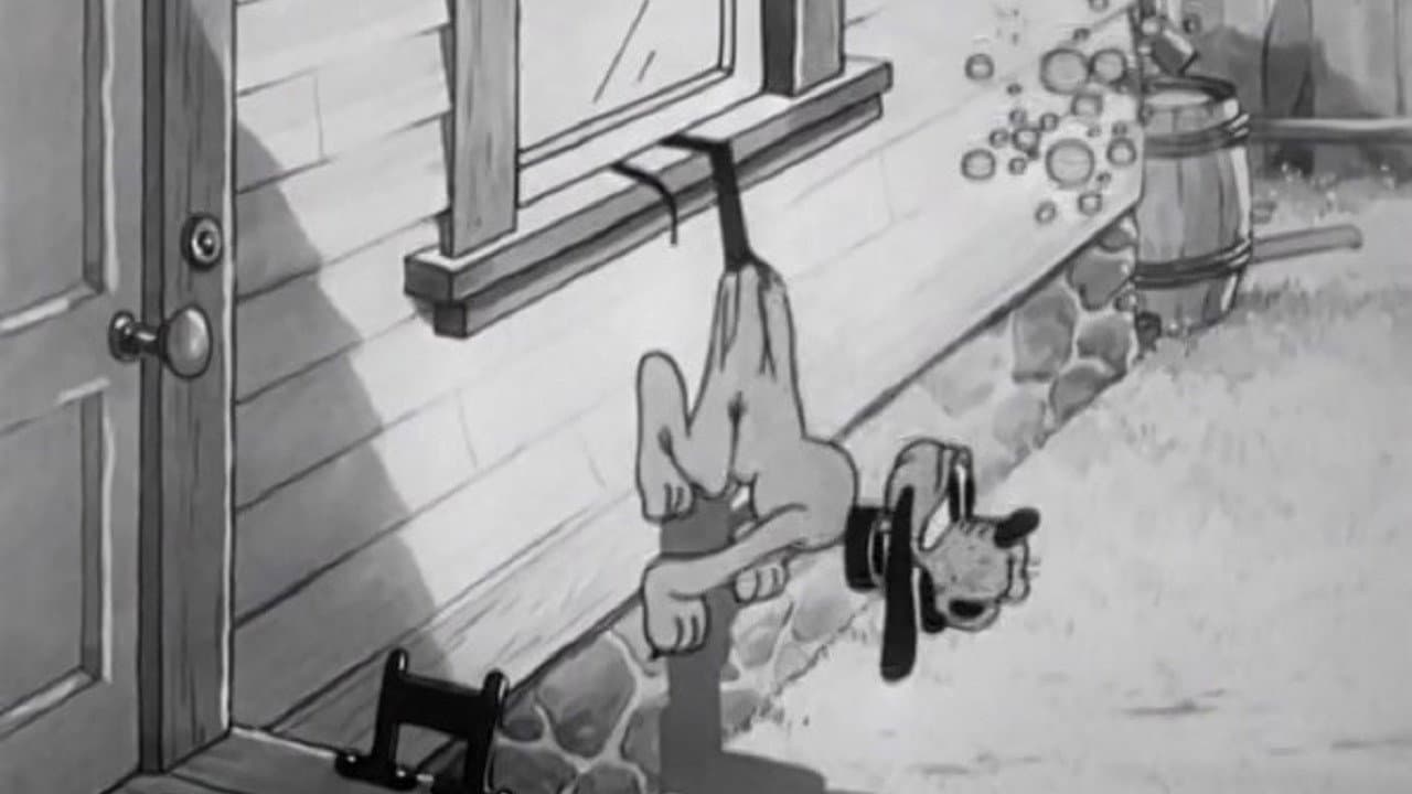 Backdrop – Der tolle Hund