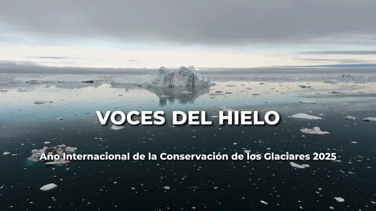 Backdrop – Voces de hielo