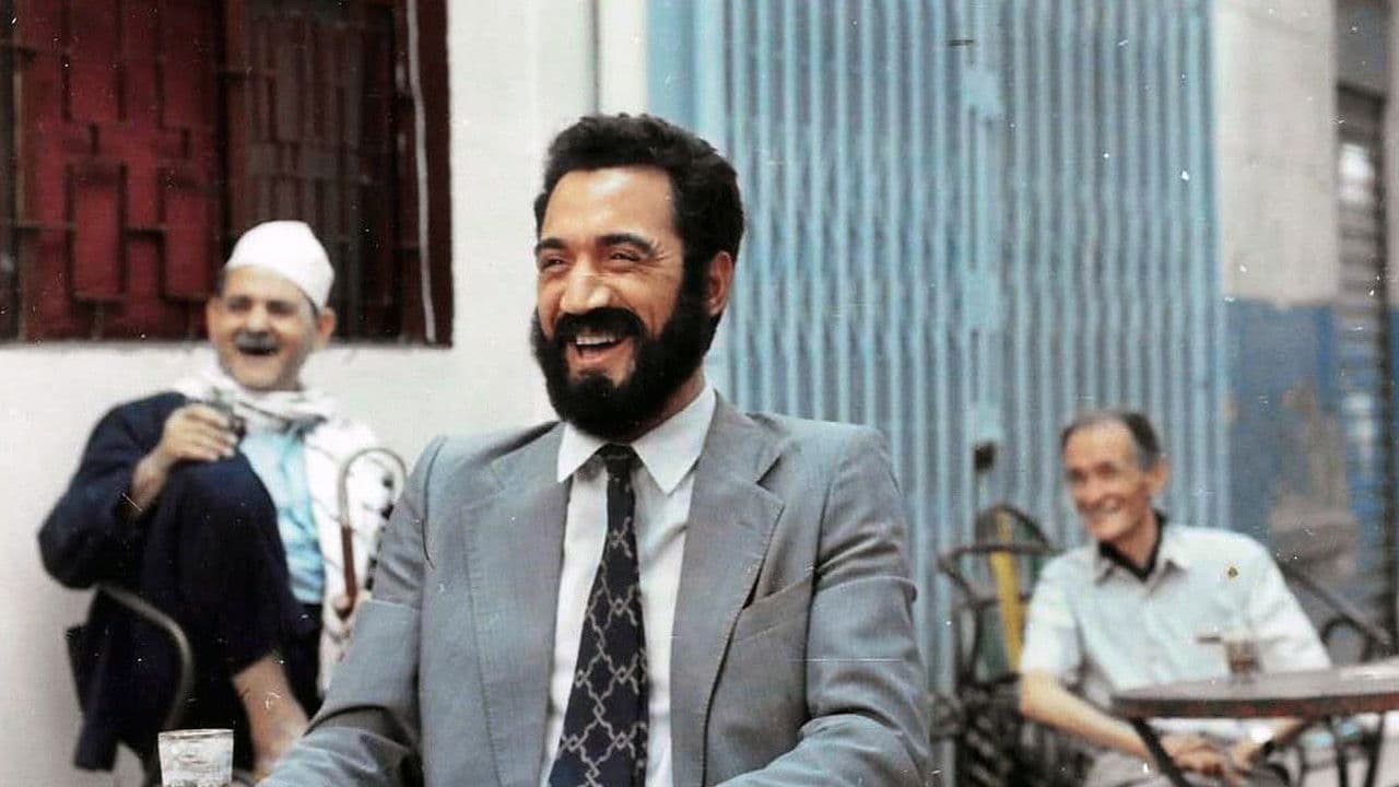 Backdrop – Lumières