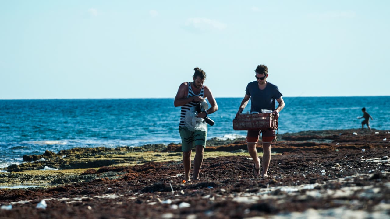 Backdrop – An Ocean Story