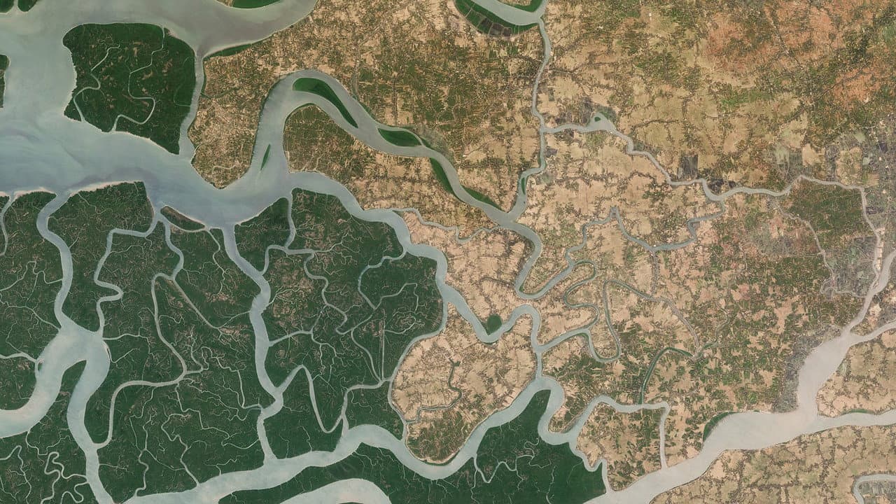 Backdrop – 2024: The Year From Space