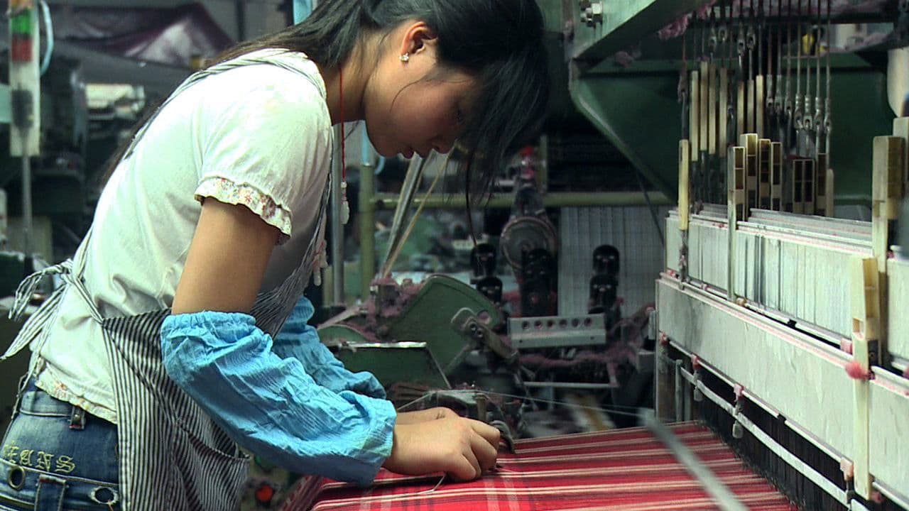 Backdrop – Cotton Road