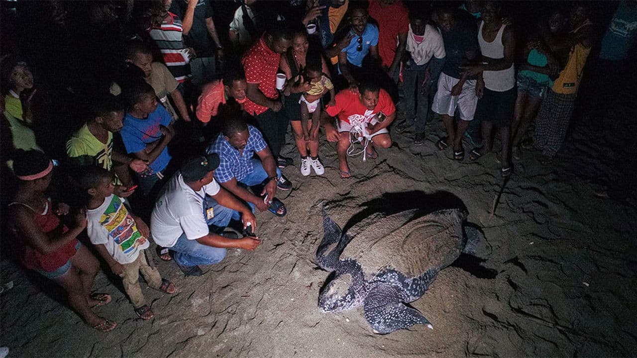 Backdrop – Cacu: A Change for Life