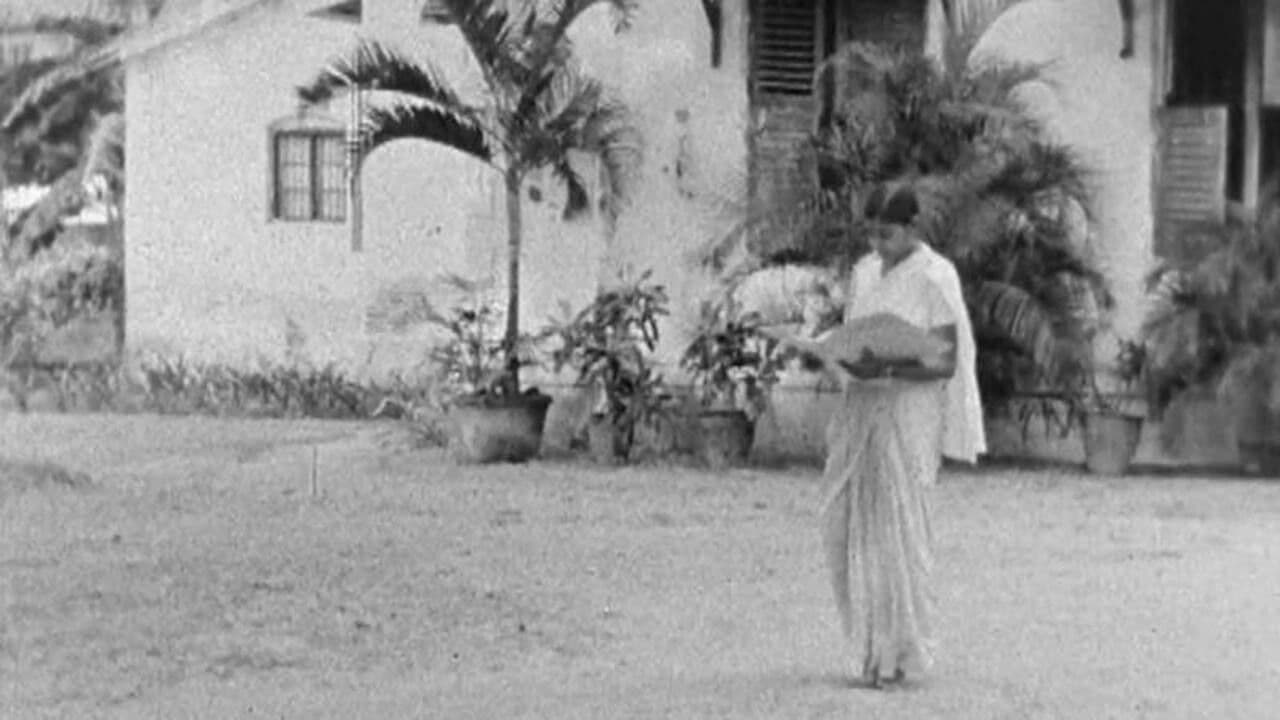 Backdrop – Day at St Christopher's College and School