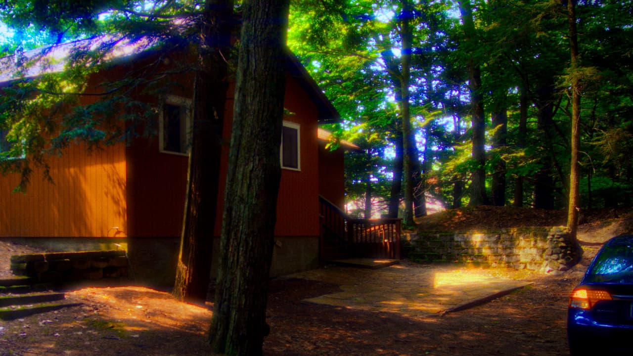 Backdrop – From The Rain