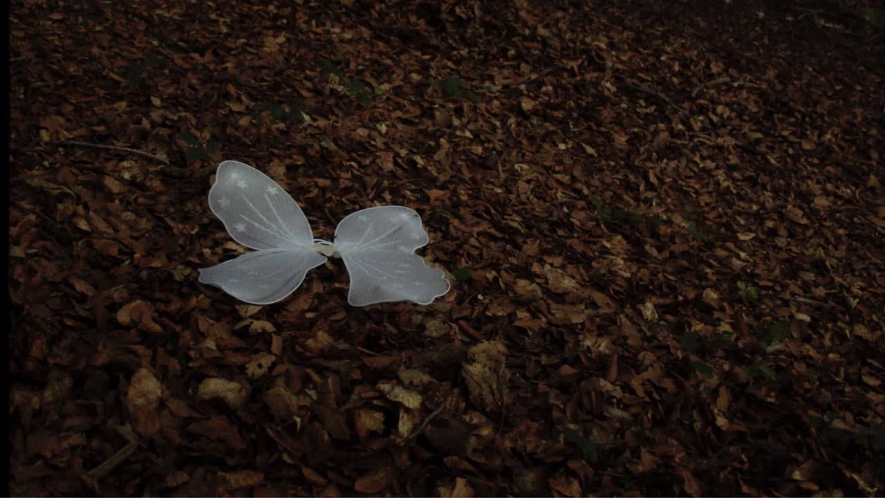 Backdrop – Quan ningú ens mira