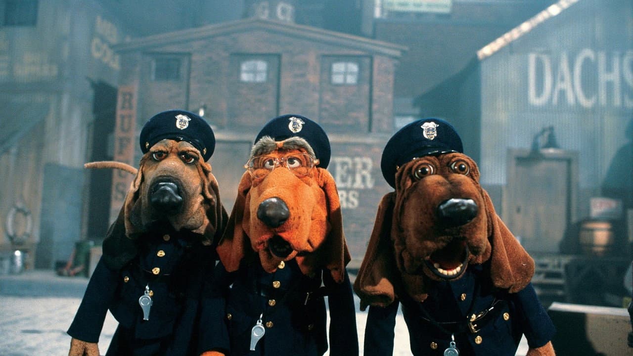 Backdrop – Dog City