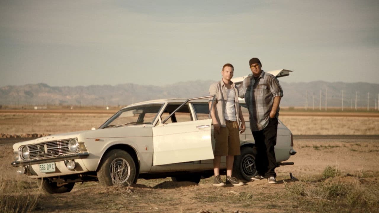 Backdrop – Sheep Impact