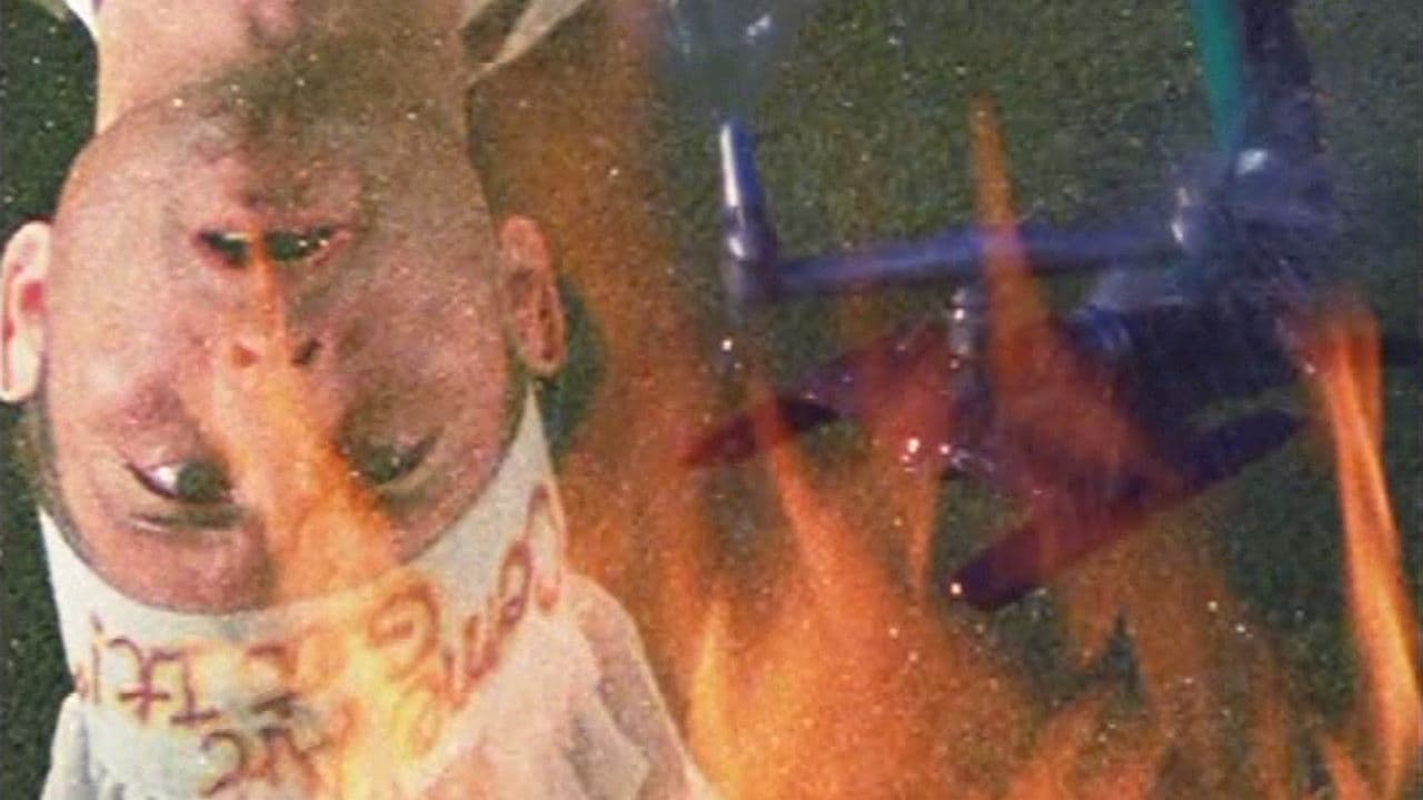 Backdrop – Porklips Now