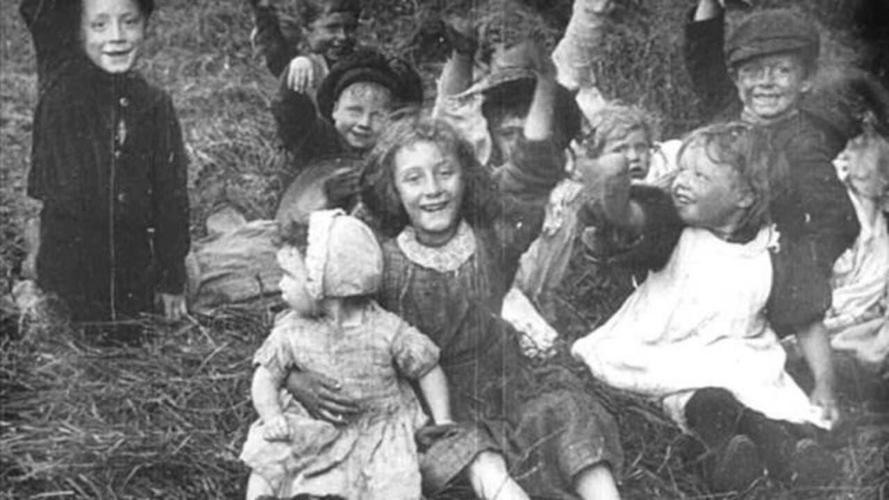 Backdrop – A Day in the Hayfields