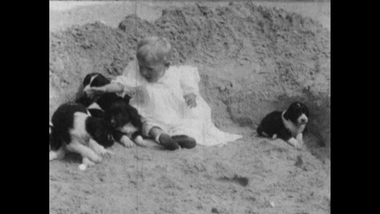 Backdrop – Wonder Dogs! Canine Stars of the Silent Era (1898-1928)