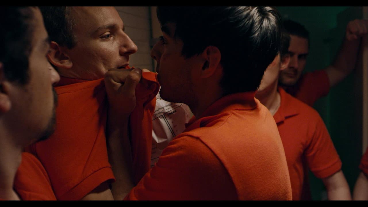 Backdrop – Brawls in the Stalls