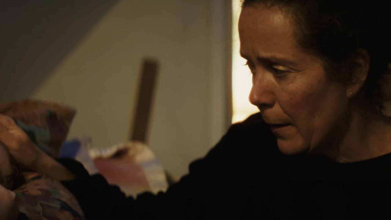 Backdrop – The Caricature: Holly Jolly Christmas