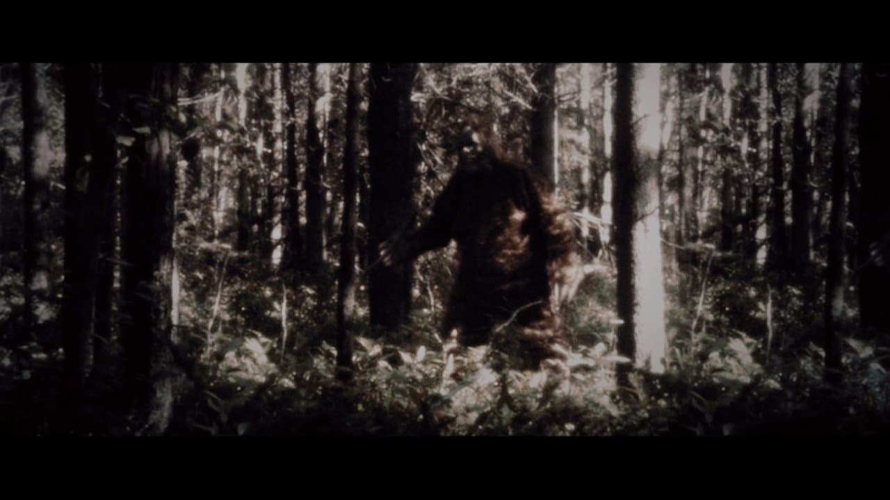 Backdrop – Secrets of the Sasquatch