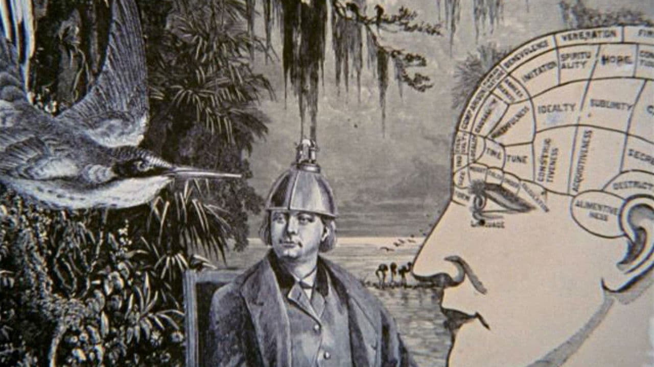 Backdrop – Night Light