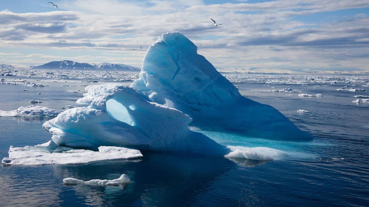 Backdrop – To the Arctic 3D
