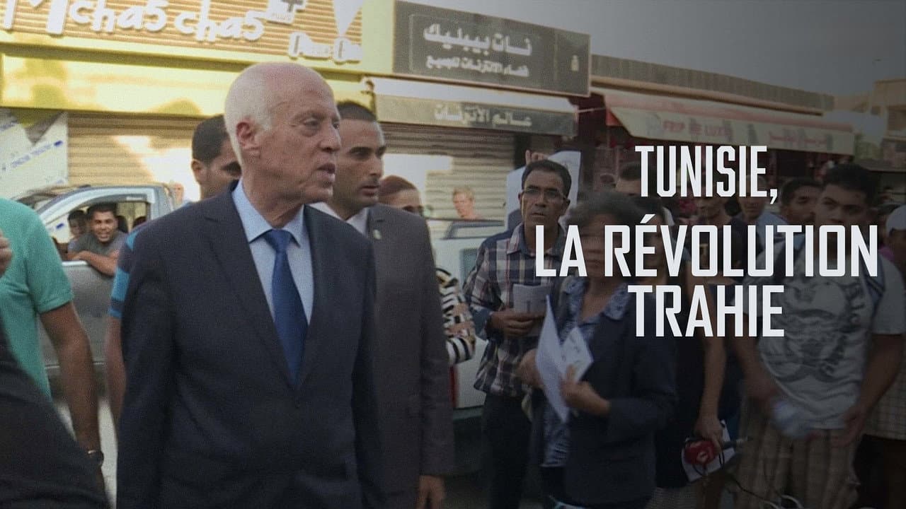 Backdrop – Tunisie, la révolution trahie