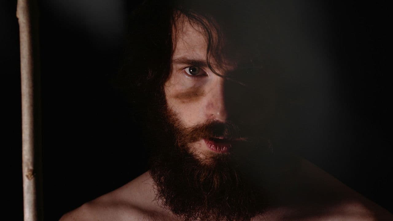 Backdrop – Dogwood