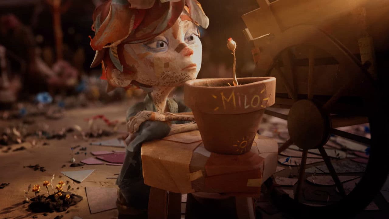 Backdrop – Mr Flower