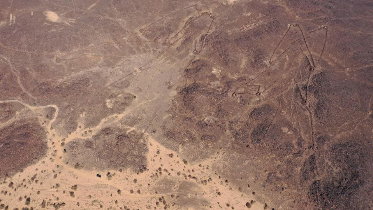 Backdrop – Les mystères des cerfs-volants du désert