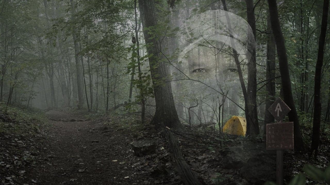 Backdrop – Mostly Harmless