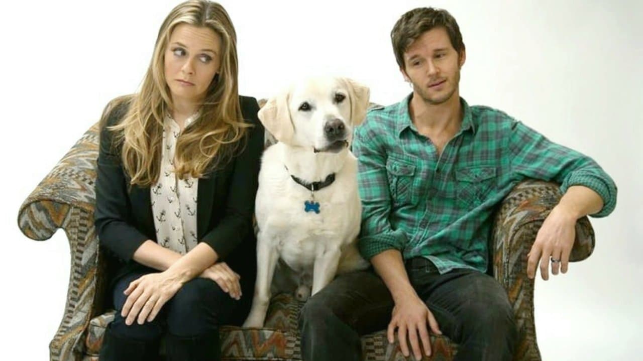 Backdrop – Wer kriegt den Hund?