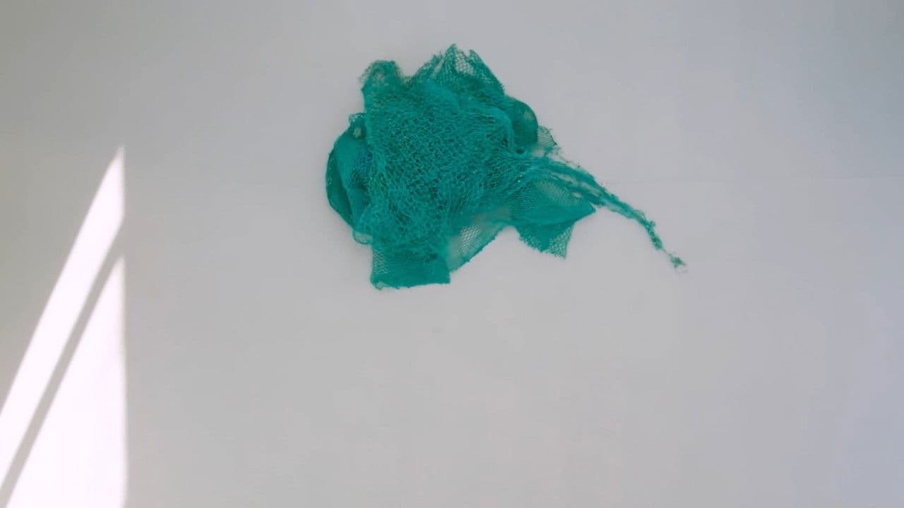 Backdrop – SeaMonster II