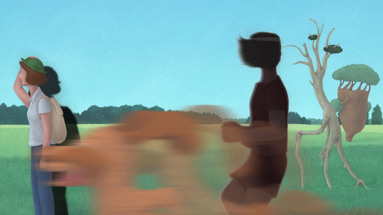 Backdrop – 움직임의 사전