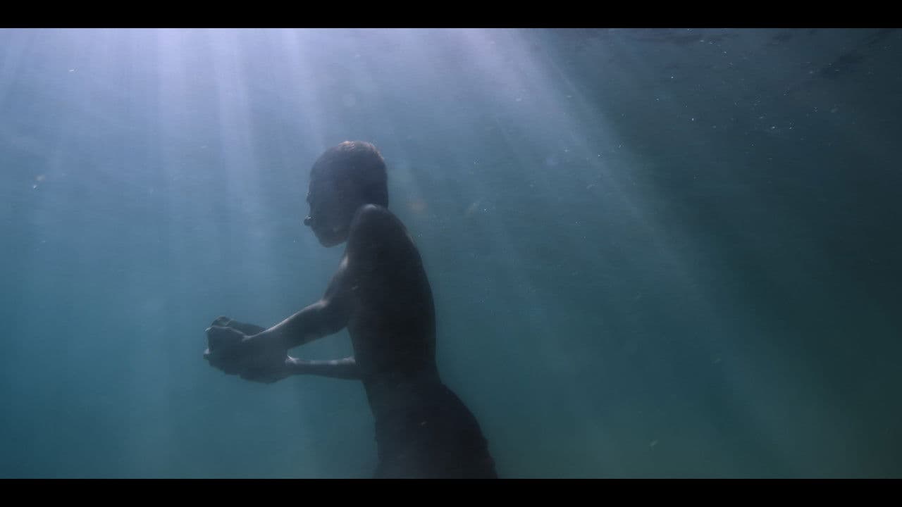 Backdrop – Pietre Sommerse