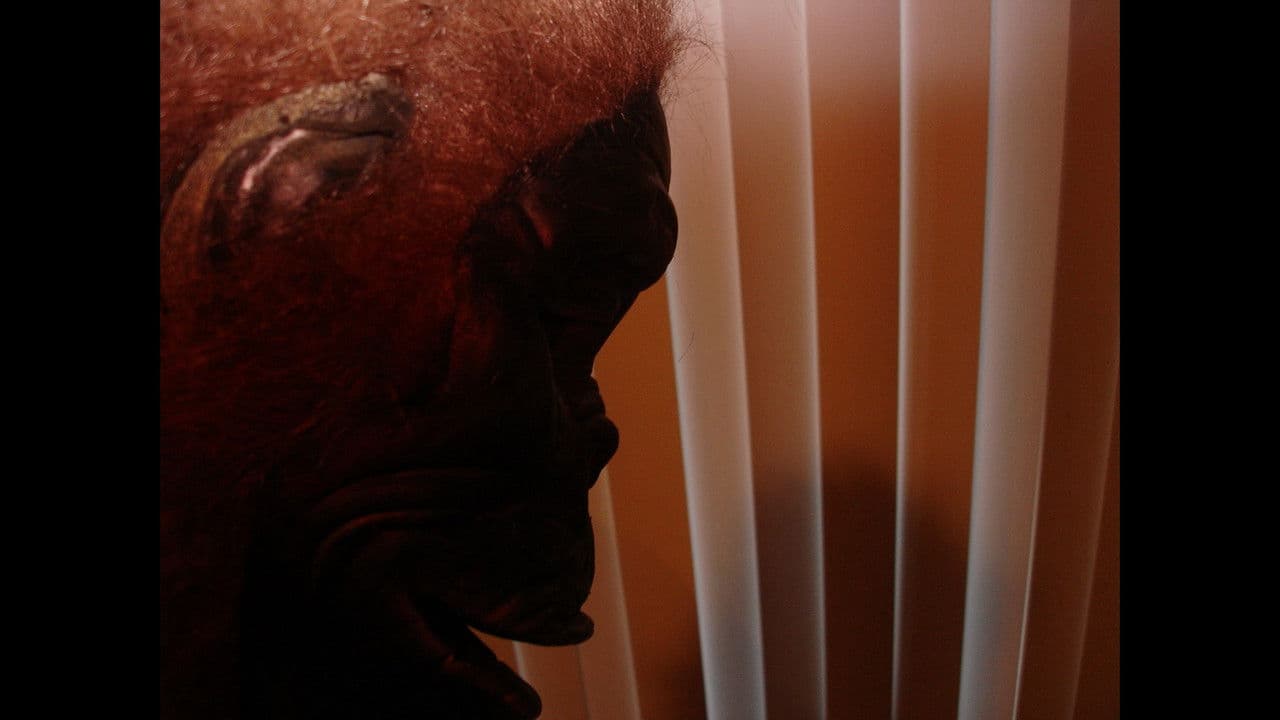 Backdrop – SVEN Ch. I