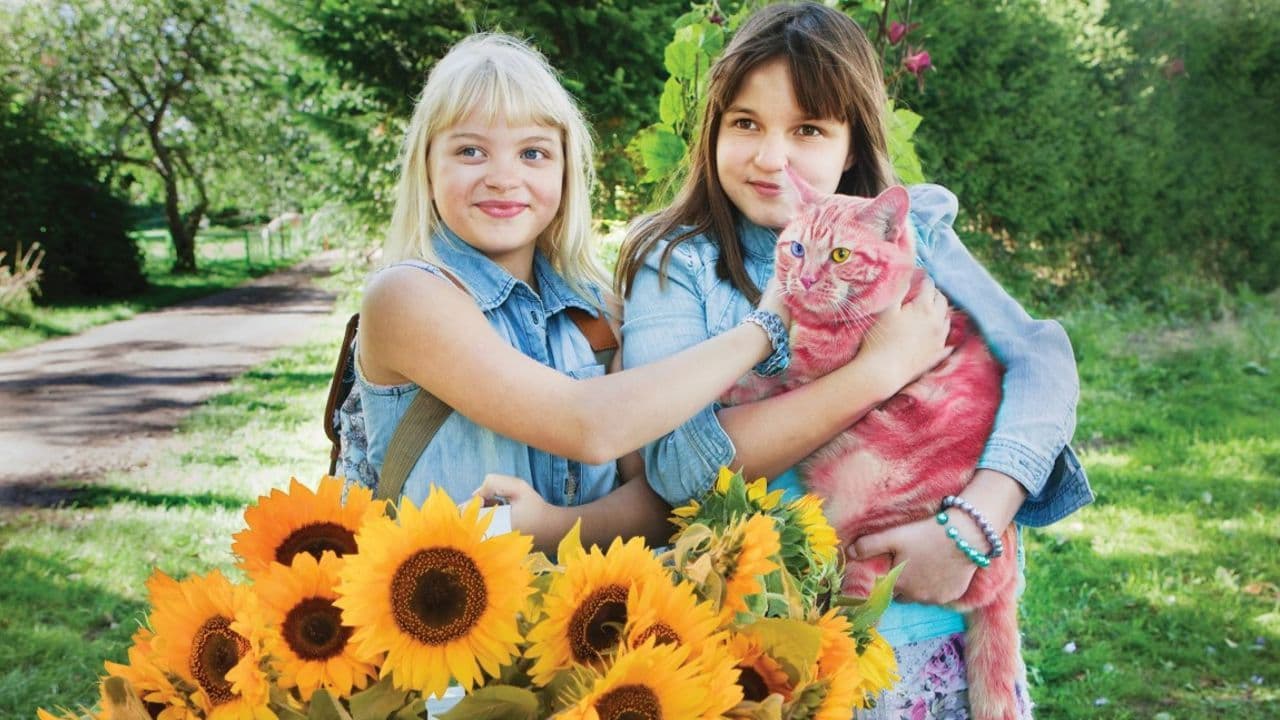 Backdrop – Onneli, Anneli ja Salaperäinen muukalainen