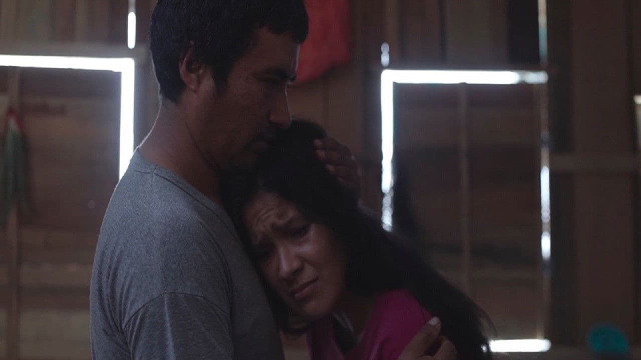 Backdrop – El terreno