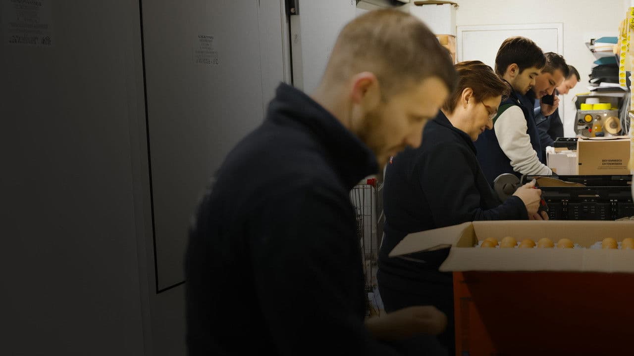 Backdrop – Discount, le prix à payer