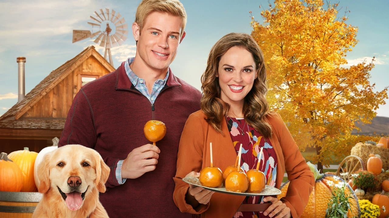 Backdrop – Love, Fall & Order - Im Zweifel für die Liebe