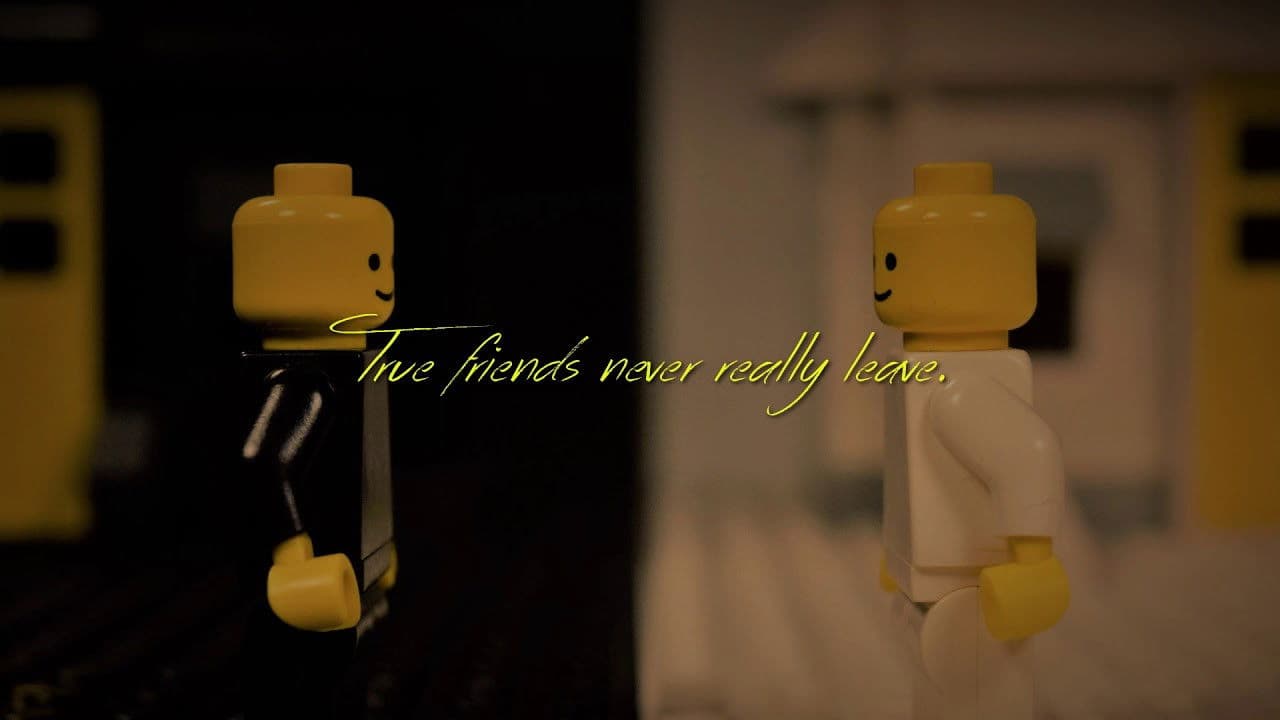 Backdrop – Black & White