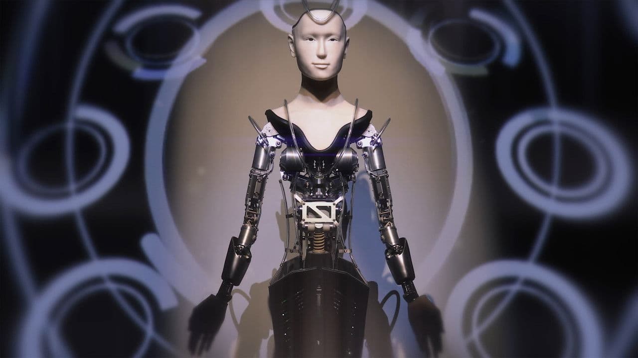 Backdrop – You Are My Audience