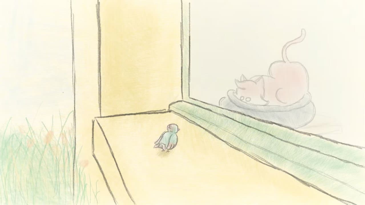 Backdrop – À la volet